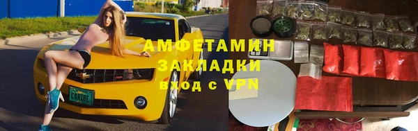 индика Зеленокумск