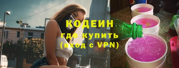 шишки Медвежьегорск