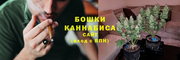 шишки Медвежьегорск