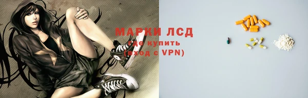 индика Зеленокумск