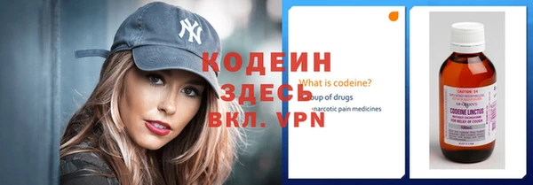 шишки Медвежьегорск