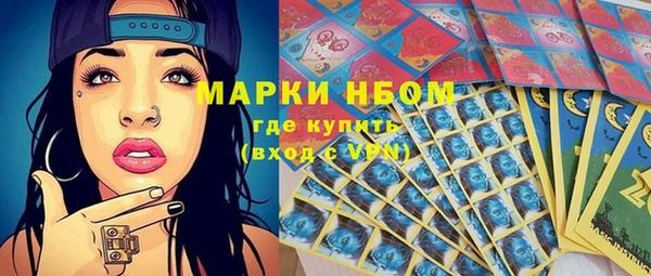 индика Зеленокумск