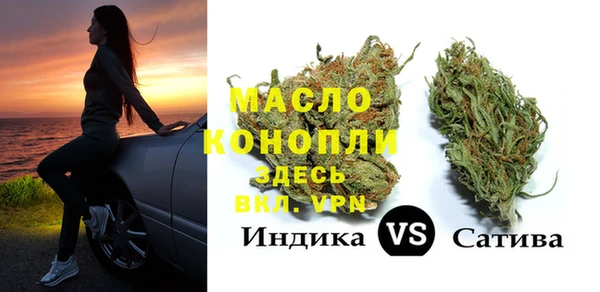 индика Зеленокумск