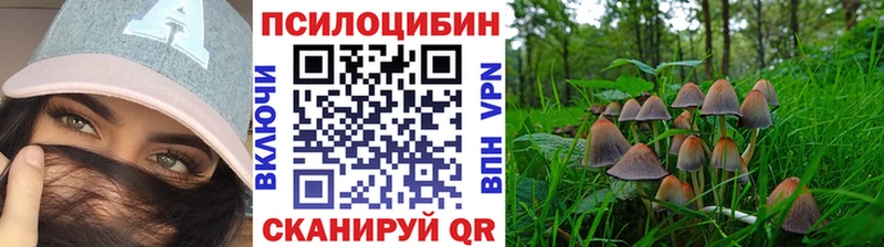 Галлюциногенные грибы MAGIC MUSHROOMS  мориарти наркотические препараты  Тында  купить наркотик  hydra зеркало 